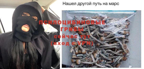 гашик Алзамай