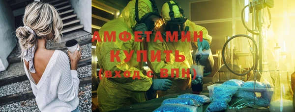 гашик Алзамай
