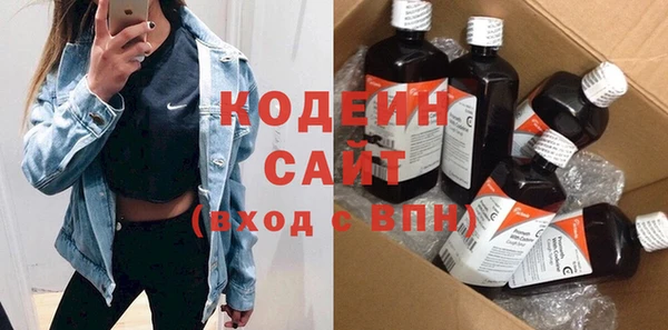 гашик Алзамай