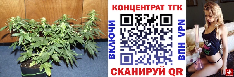 где купить наркоту  Орлов  ТГК Wax 