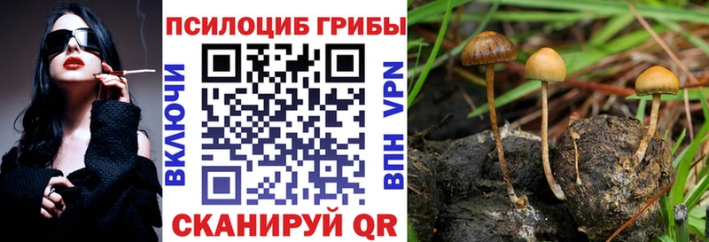 купить закладку  kraken сайт  Псилоцибиновые грибы MAGIC MUSHROOMS  Орлов 